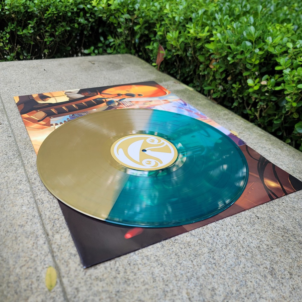mixed vinyl disc 01.jpg